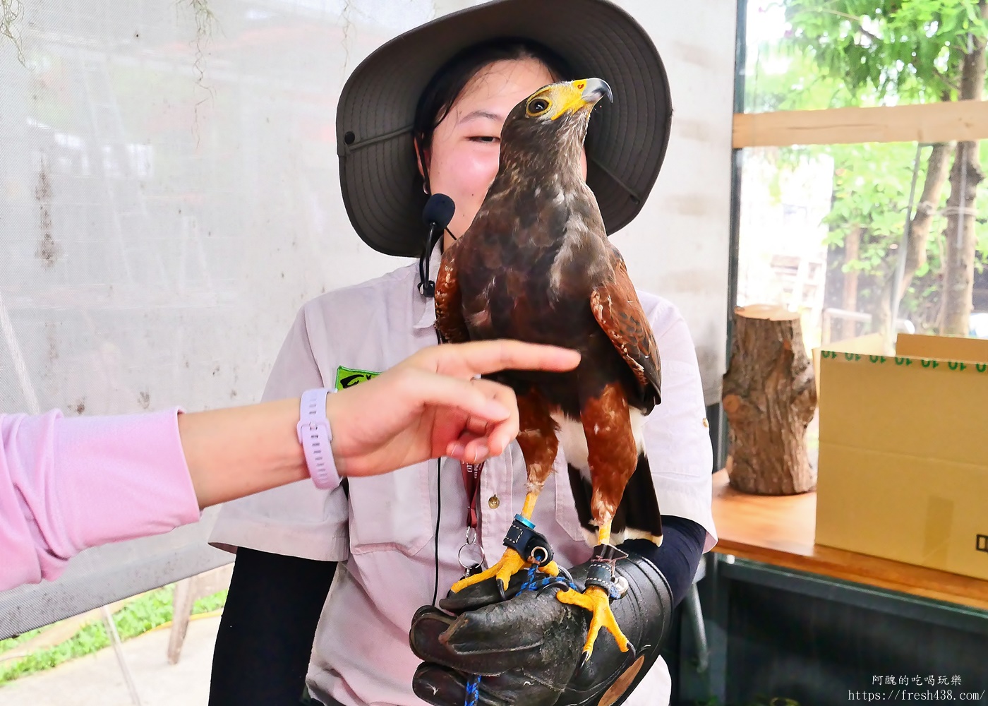 宜蘭親子景點|蘭陽動植物王國攻略!3000坪農場、雨天也能玩、猛禽訓練與動物互動體驗 - 第55張圖 宜蘭親子景點|蘭陽動植物王國攻略!3000坪農場、雨天也能玩、猛禽訓練與動物互動體驗