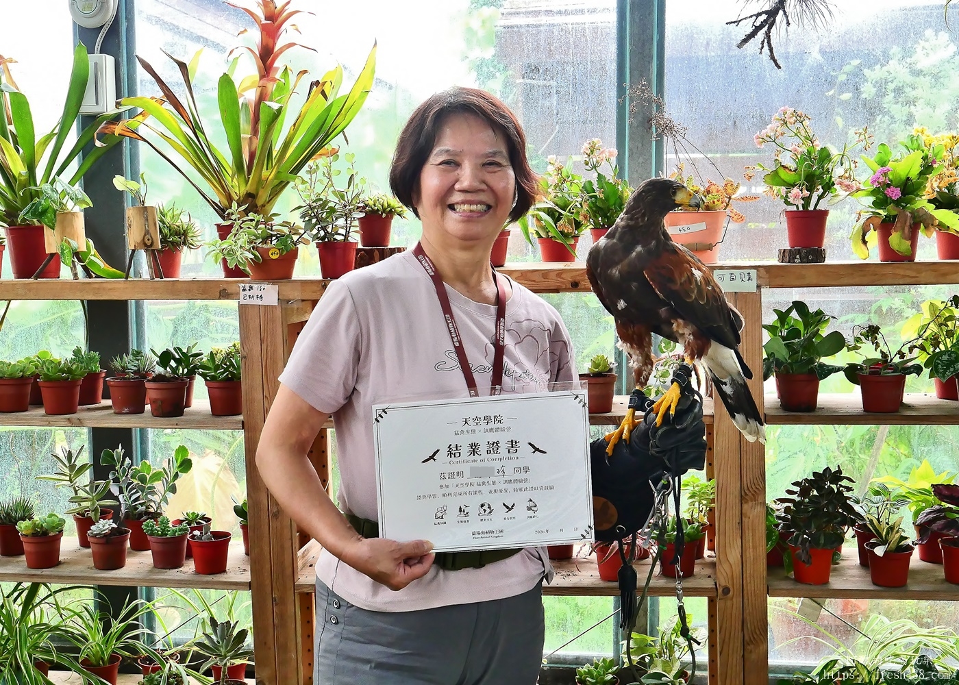 宜蘭親子景點|蘭陽動植物王國攻略!3000坪農場、雨天也能玩、猛禽訓練與動物互動體驗 - 第61張圖 宜蘭親子景點|蘭陽動植物王國攻略!3000坪農場、雨天也能玩、猛禽訓練與動物互動體驗