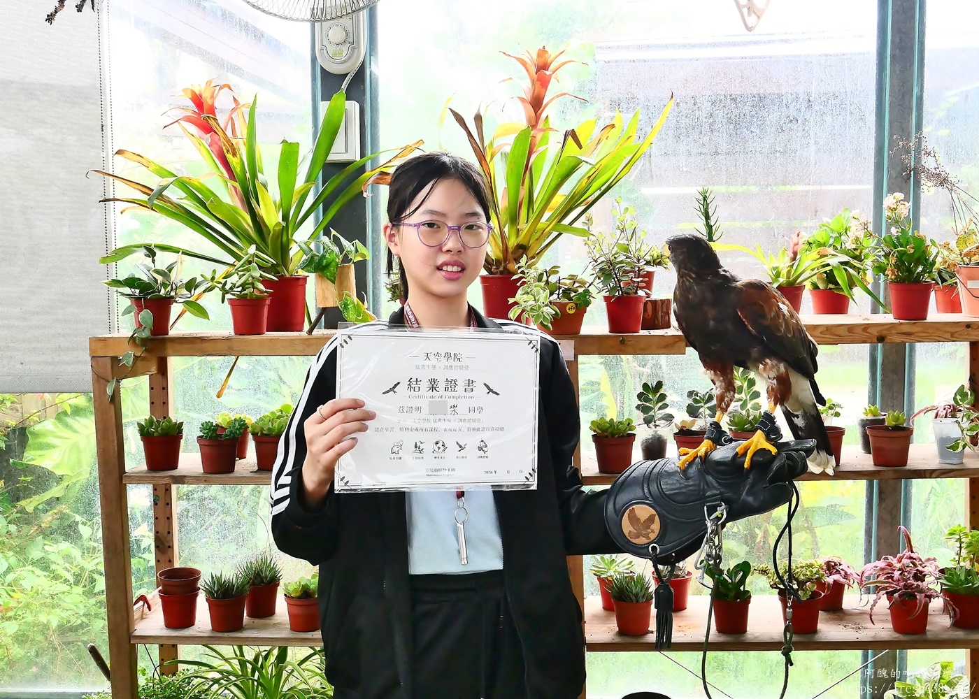 宜蘭親子景點|蘭陽動植物王國攻略!3000坪農場、雨天也能玩、猛禽訓練與動物互動體驗 - 第62張圖 宜蘭親子景點|蘭陽動植物王國攻略!3000坪農場、雨天也能玩、猛禽訓練與動物互動體驗