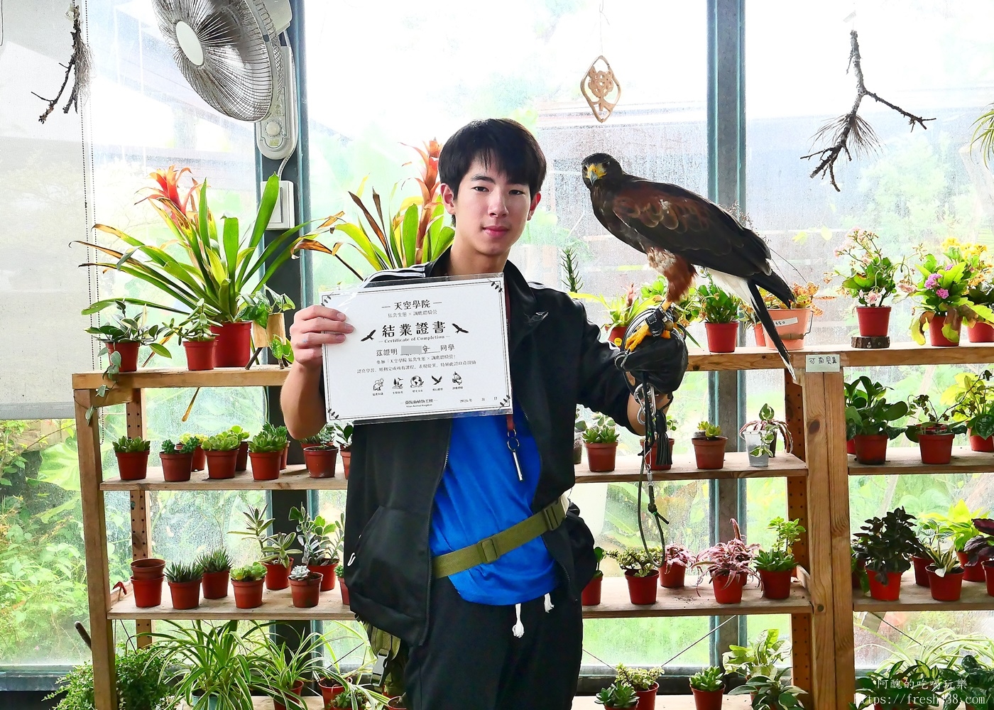 宜蘭親子景點|蘭陽動植物王國攻略!3000坪農場、雨天也能玩、猛禽訓練與動物互動體驗 - 第63張圖 宜蘭親子景點|蘭陽動植物王國攻略!3000坪農場、雨天也能玩、猛禽訓練與動物互動體驗