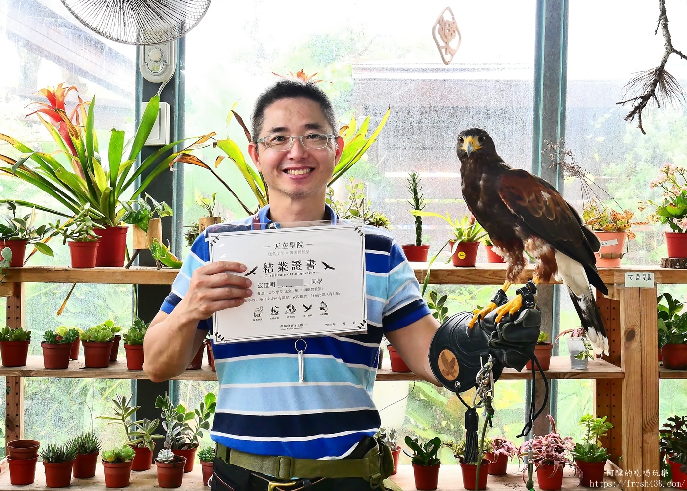 宜蘭親子景點|蘭陽動植物王國攻略!3000坪農場、雨天也能玩、猛禽訓練與動物互動體驗 - 第64張圖 宜蘭親子景點|蘭陽動植物王國攻略!3000坪農場、雨天也能玩、猛禽訓練與動物互動體驗