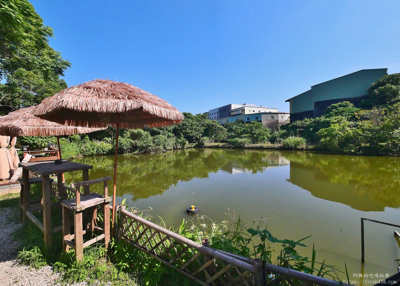 陶淬湖庭園咖啡｜新北鶯歌景觀餐廳推薦，免門票、可餵梅花鹿 羊駝 水豚，親子一日遊必訪