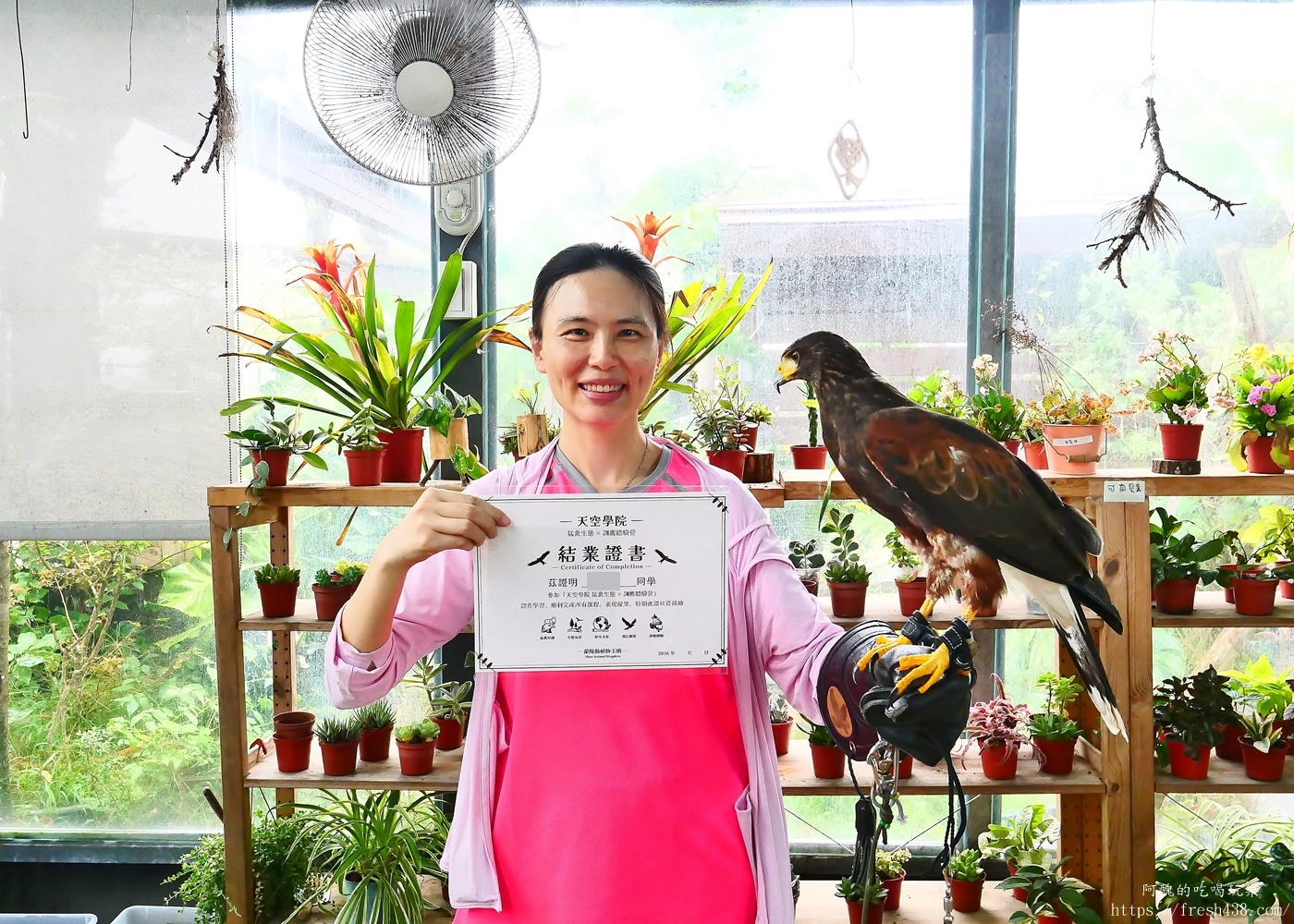 宜蘭親子景點|蘭陽動植物王國攻略!3000坪農場、雨天也能玩、猛禽訓練與動物互動體驗 - 第65張圖 宜蘭親子景點|蘭陽動植物王國攻略!3000坪農場、雨天也能玩、猛禽訓練與動物互動體驗